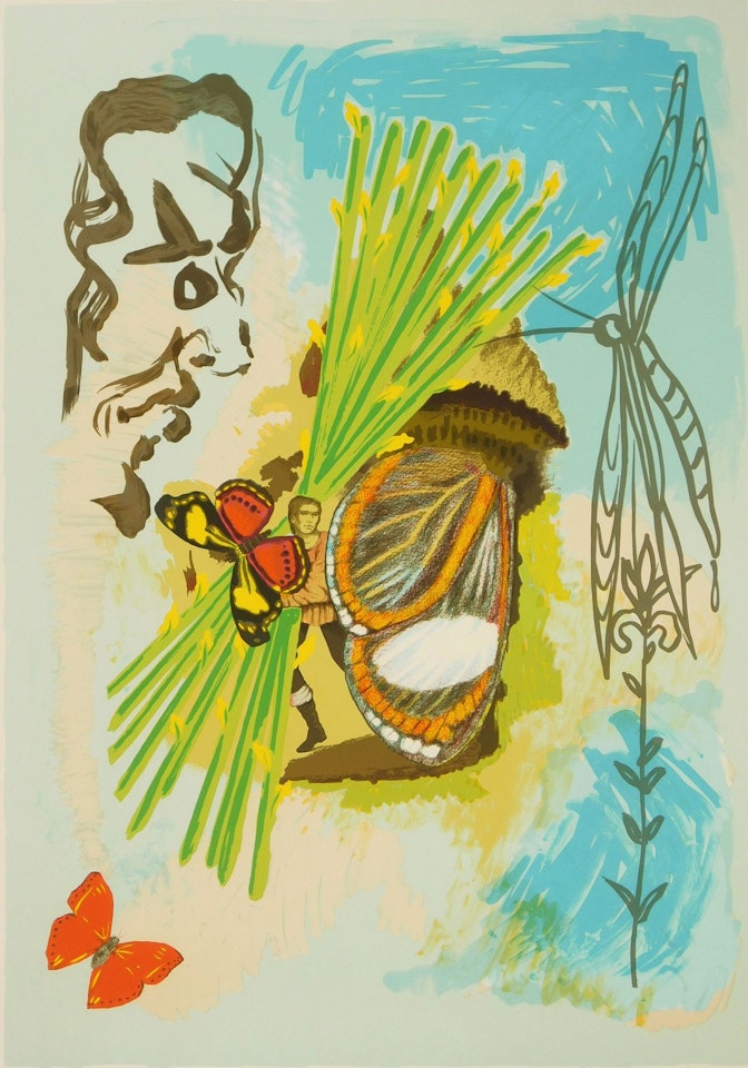 The Overseer(Fields 78-8B) by Salvador Dali