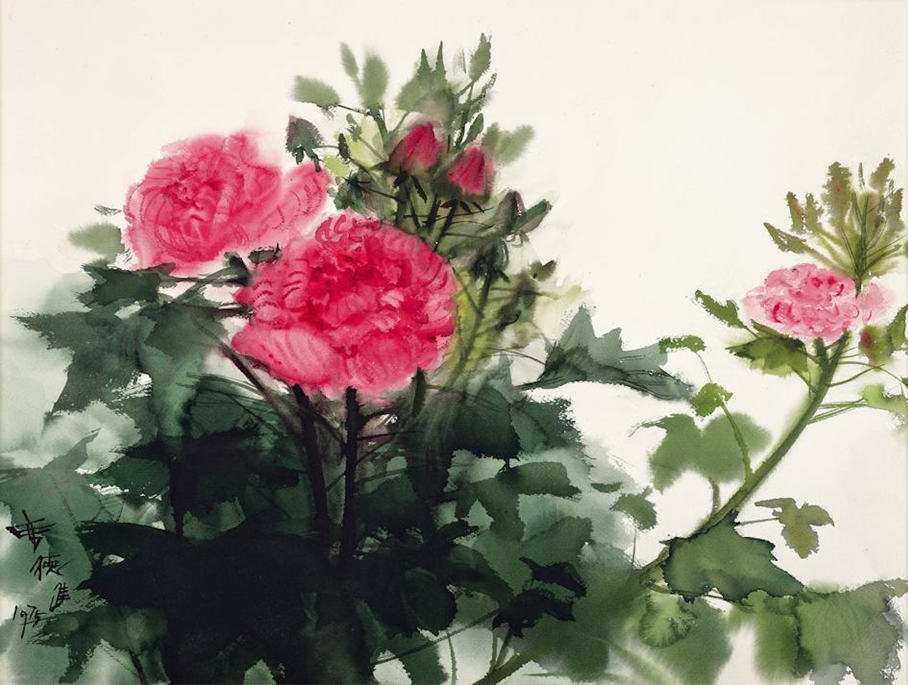 Cottonrose Hibiscus by Xi Dejin