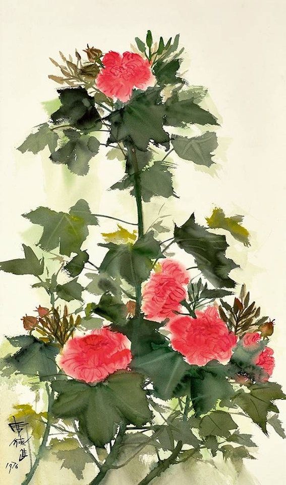 Cotton Rose by Xi Dejin