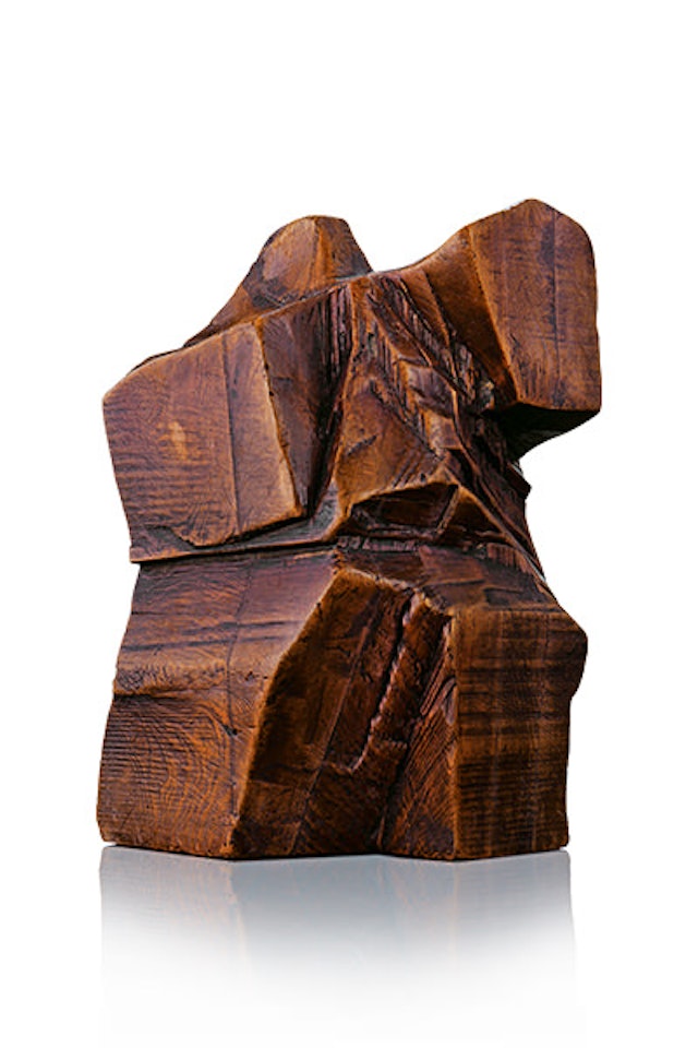 Taichi Series - Pushing Hands by Ju Ming