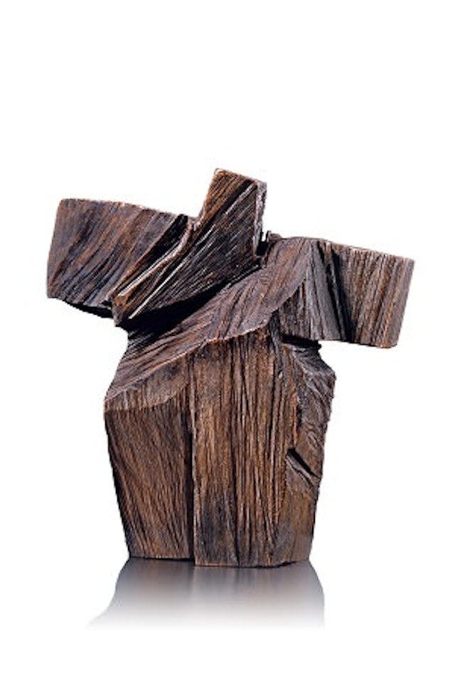 Taichi Series - Underarm Strike by Ju Ming