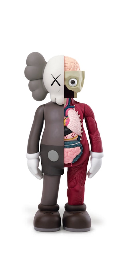 Dissected Companion (Brown) by Kaws