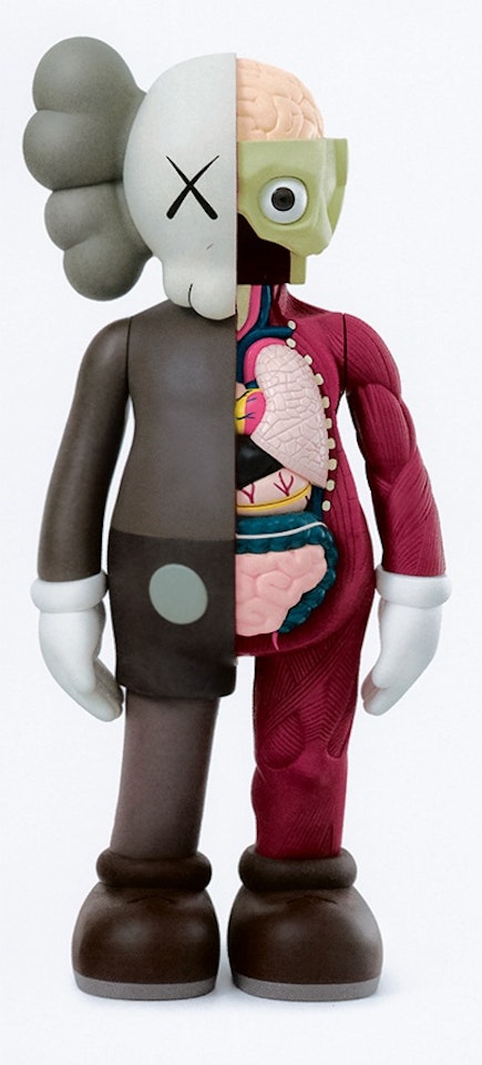 Dissected Companion by Kaws