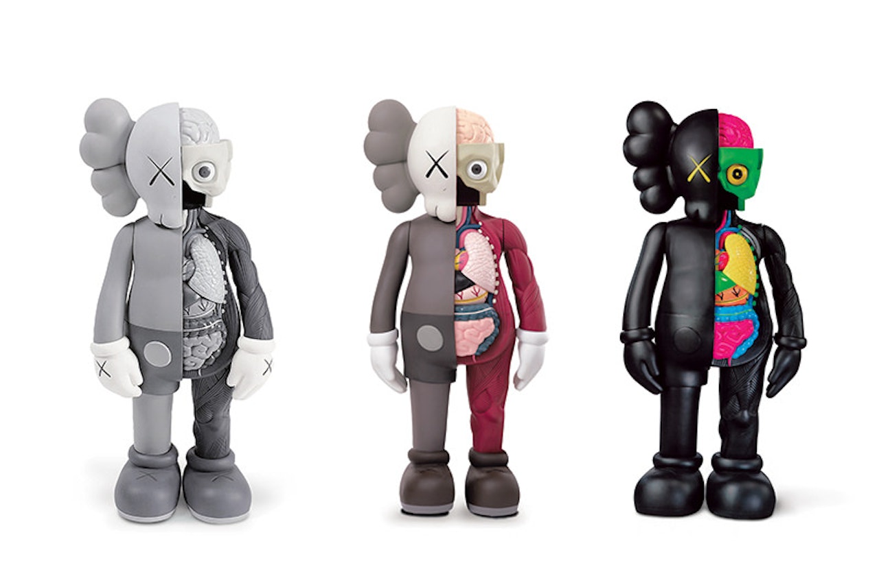 5YL Dissected Companion (3) by Kaws