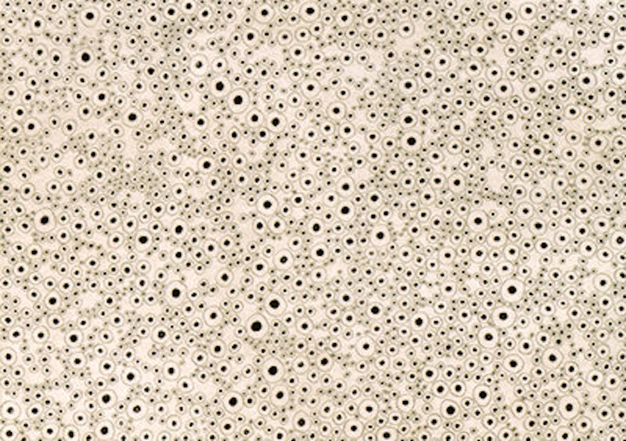 Polka Dot Accumulation by Yayoi Kusama