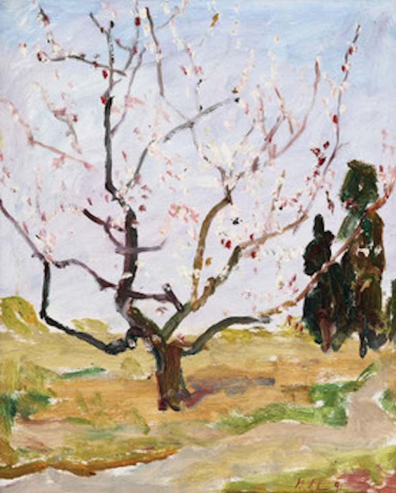 Peach Blossom by Luo Erchun