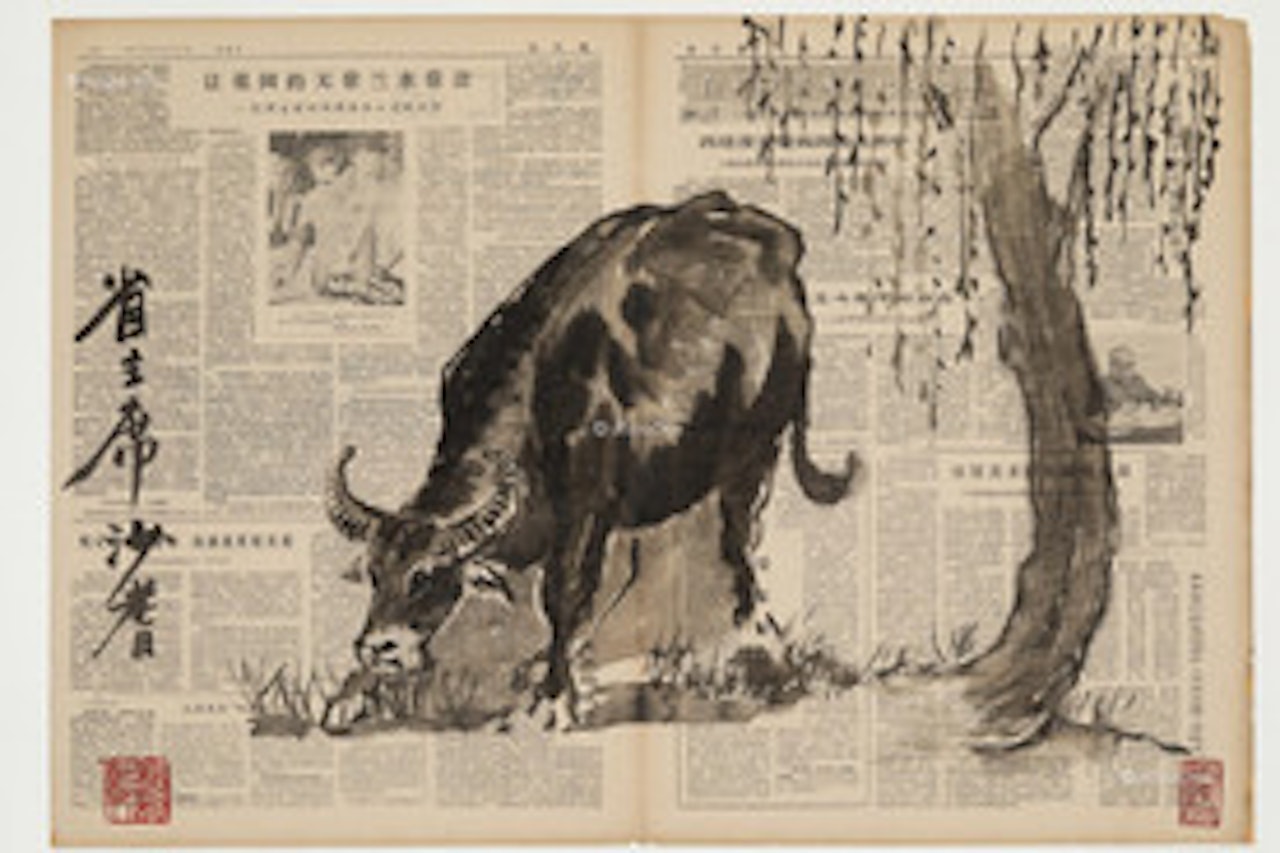 Shaqi cattle by Sha Qi