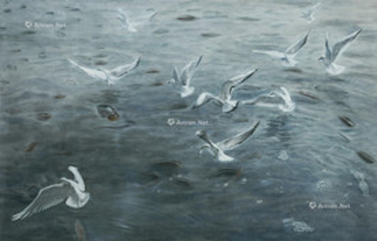 Seagull by Fang Lijun