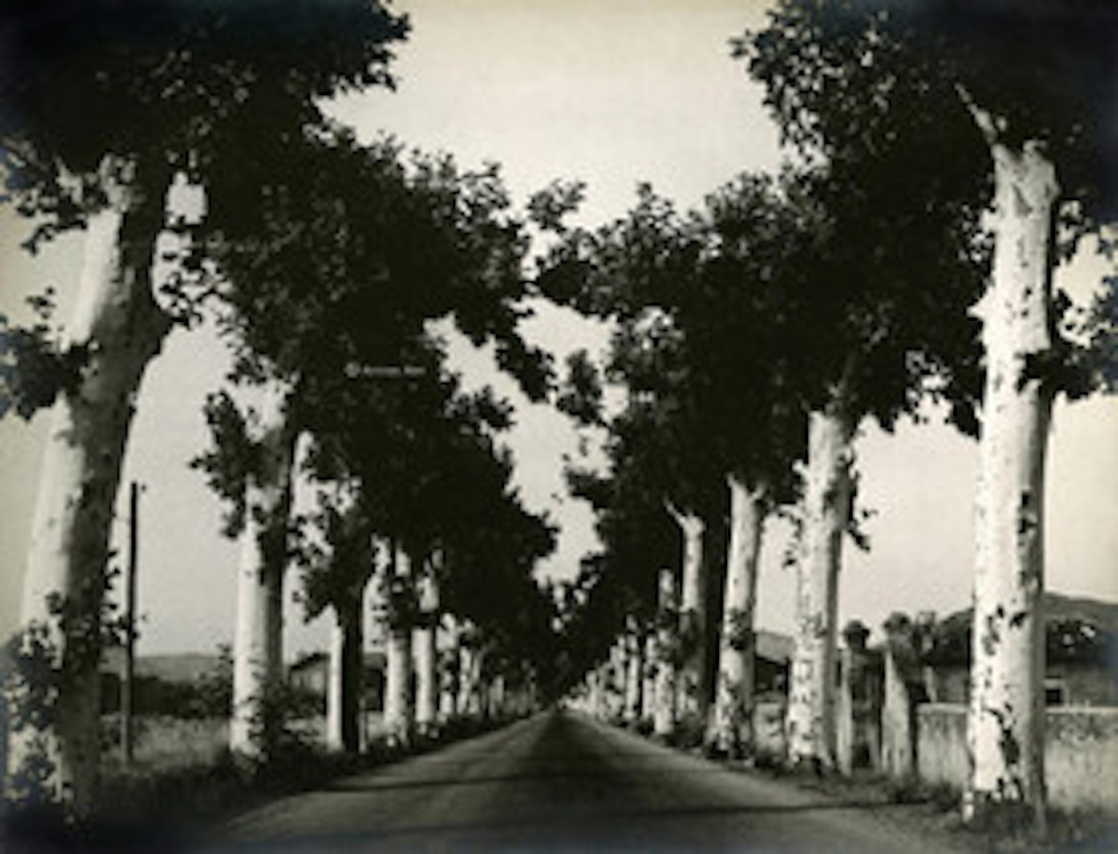 Le south by Man Ray
