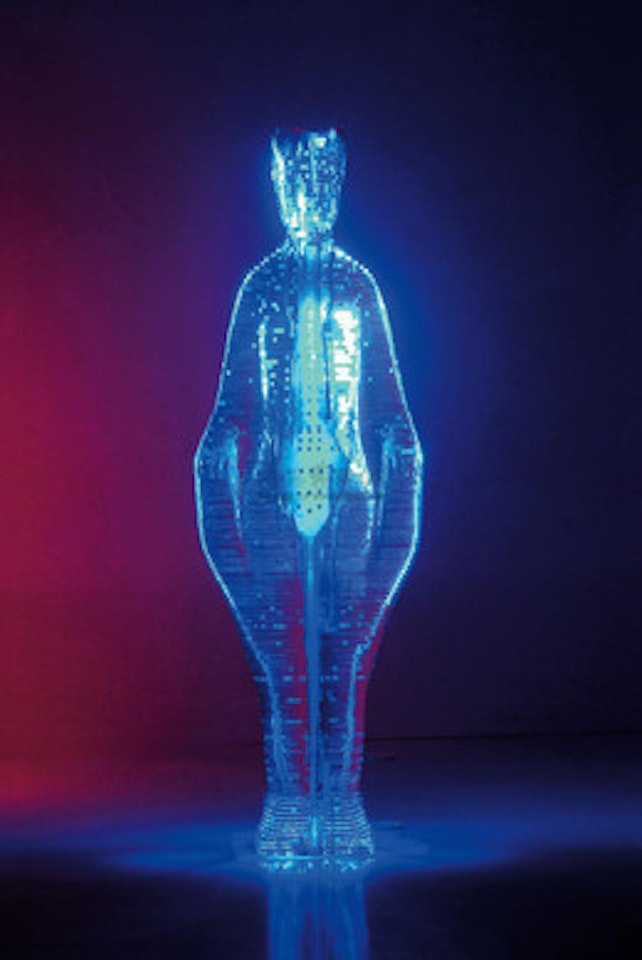 Acupuncture by Li Hui