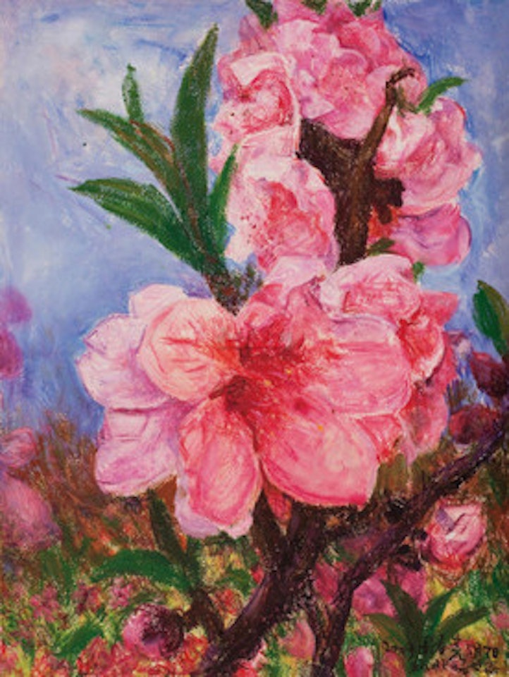 Peach Blossom by Zhou Chunya