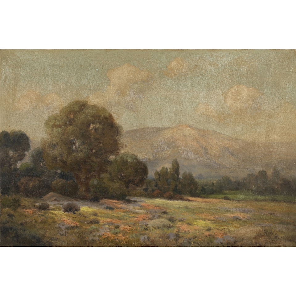 Mountain Vista with Field of Poppies by Angel Espoy
