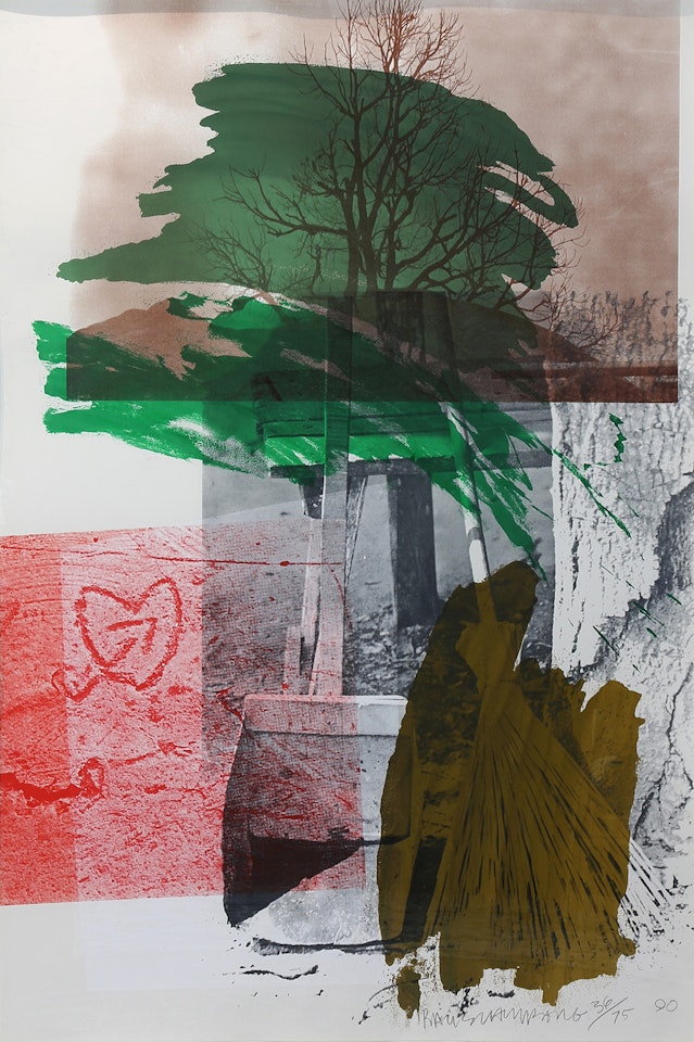 "Earth Day" by Robert Rauschenberg
