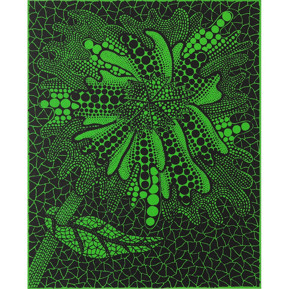"Flower (1)" by Yayoi Kusama