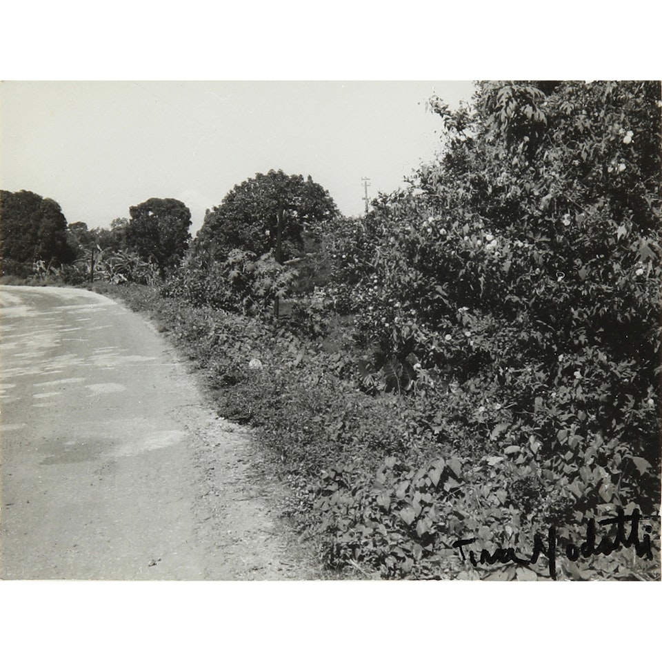 Untitled (Road, Mexico City) by Tina Modotti