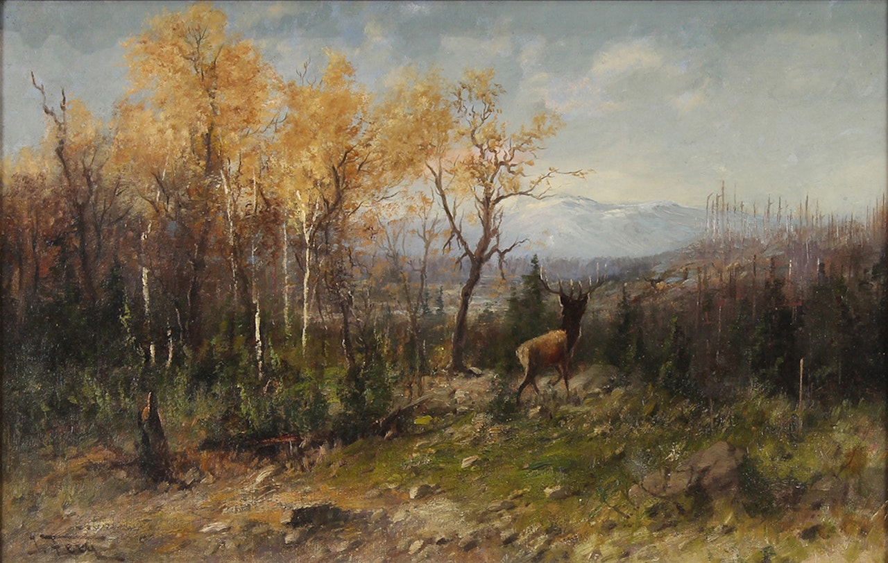 Buck in the Woods by John Fery