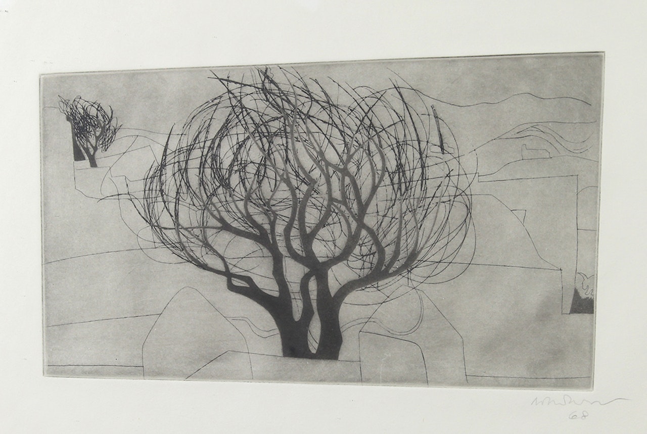 "Paros Tree (La Franca 101)" #7 from Album 3 by Ben Nicholson, O.M.