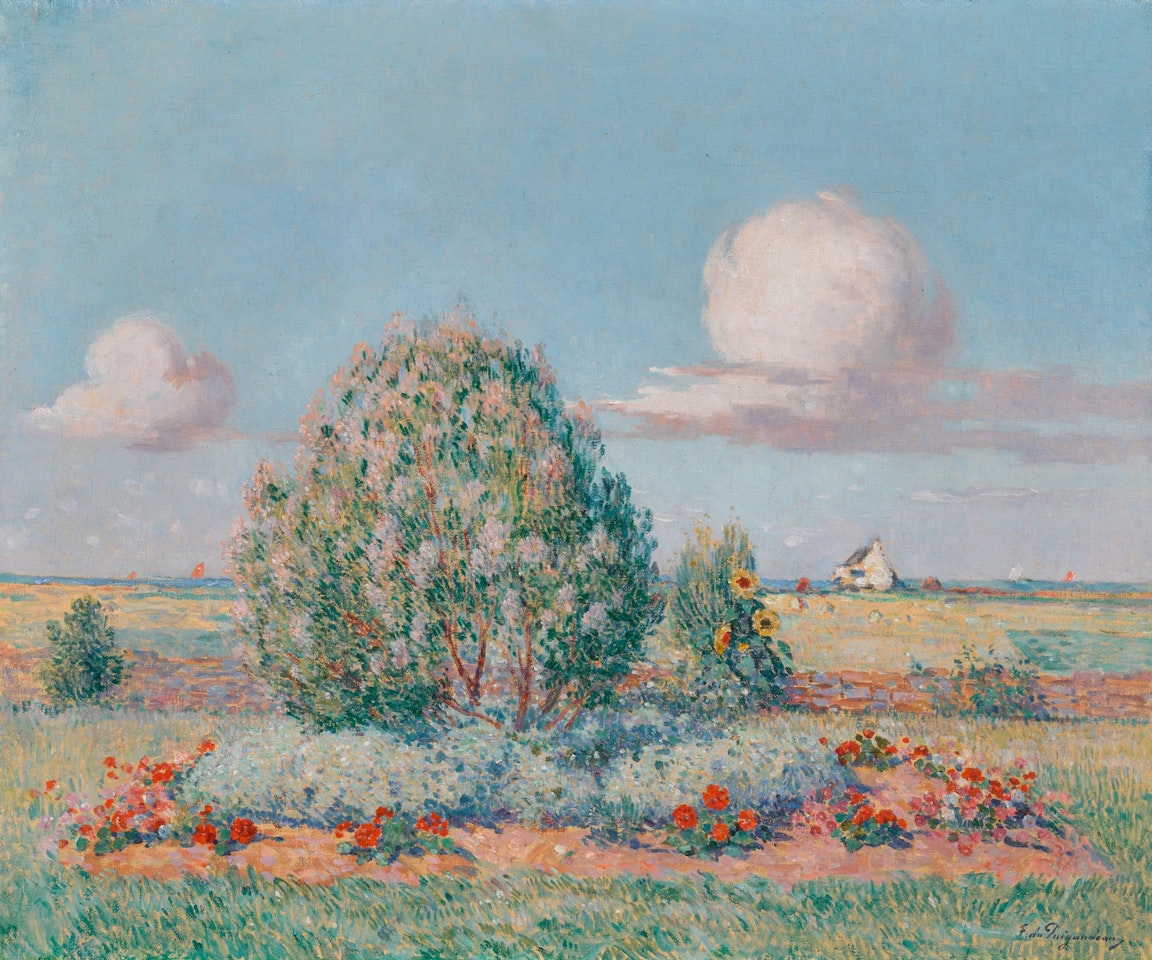Parterre fleuri by Ferdinand du Puigaudeau