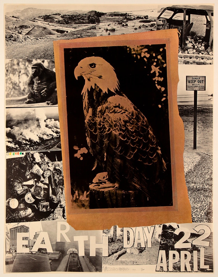Earth Day by Robert Rauschenberg