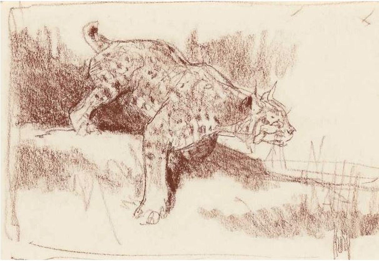 Lynx by Bob Kuhn