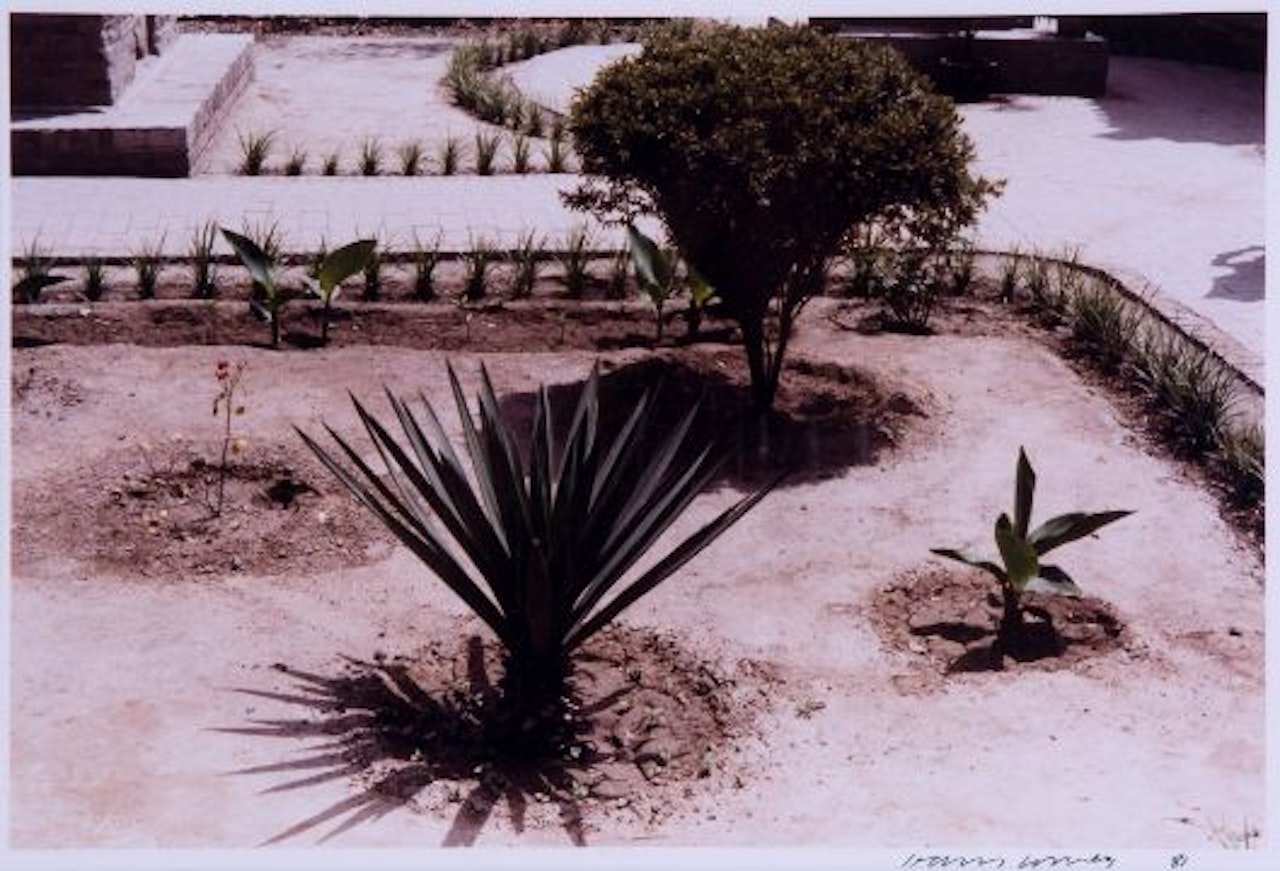 Sian 21-13A by David Hockney