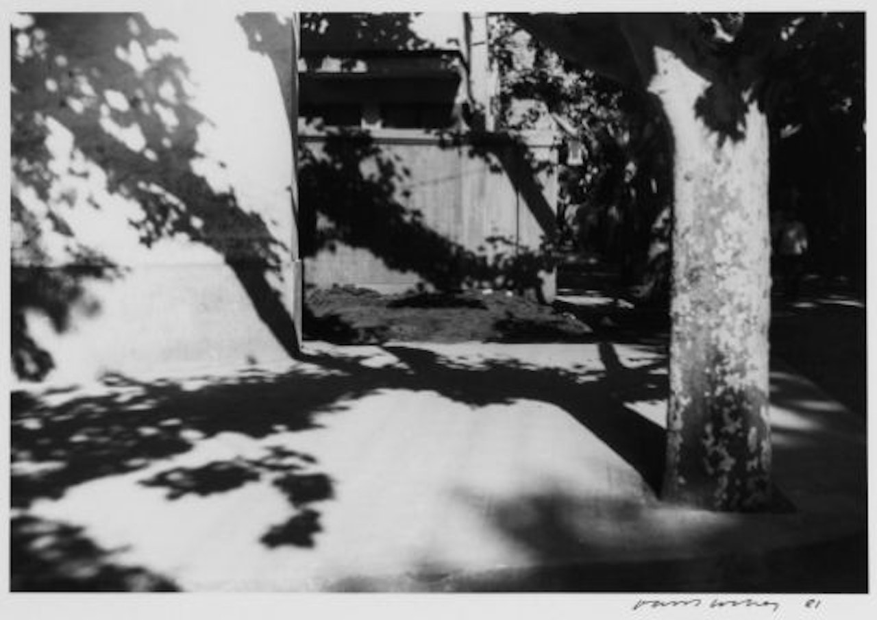Nanking 24-24 by David Hockney