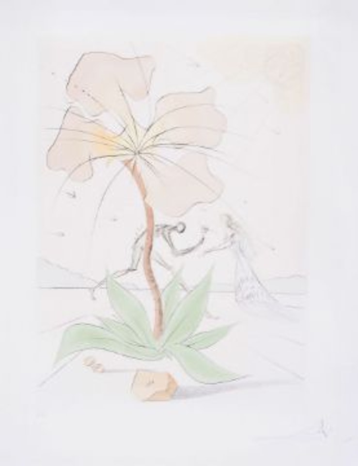 Reuben (M.&L.620;F.72-6) by Salvador Dali