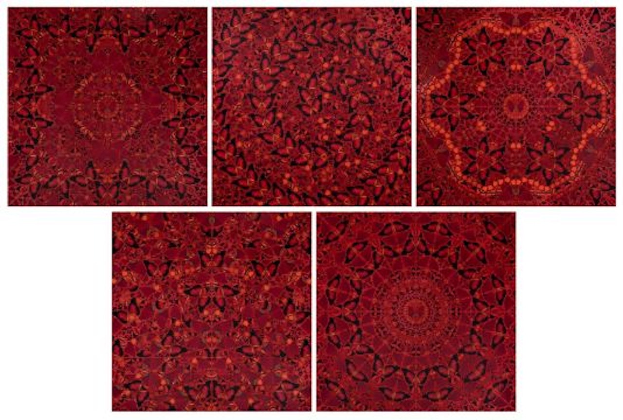 The Complete Set of Five Empresses by Damien Hirst
