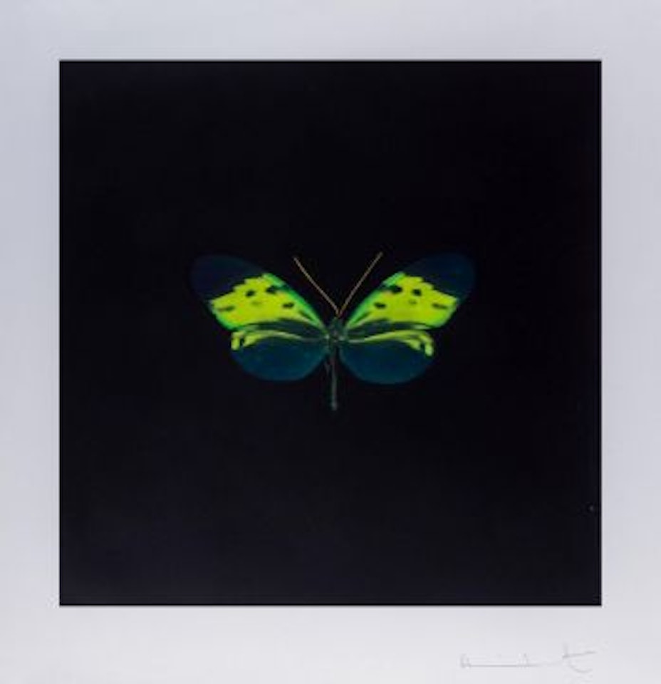 The Souls on Jacob`s Ladder Take their Flight (Green) by Damien Hirst