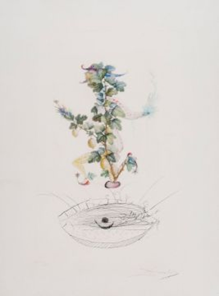 Révérence de Groseillier (M&L.353b; F.69-11j) by Salvador Dali