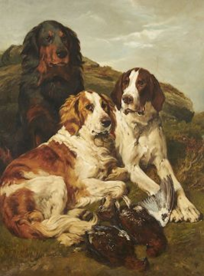 August on the Moor by John Emms