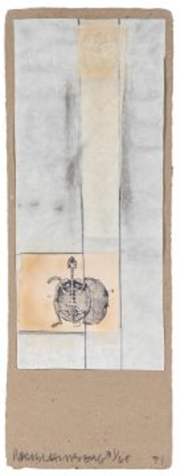 Untitled, from Shirtboards by Robert Rauschenberg