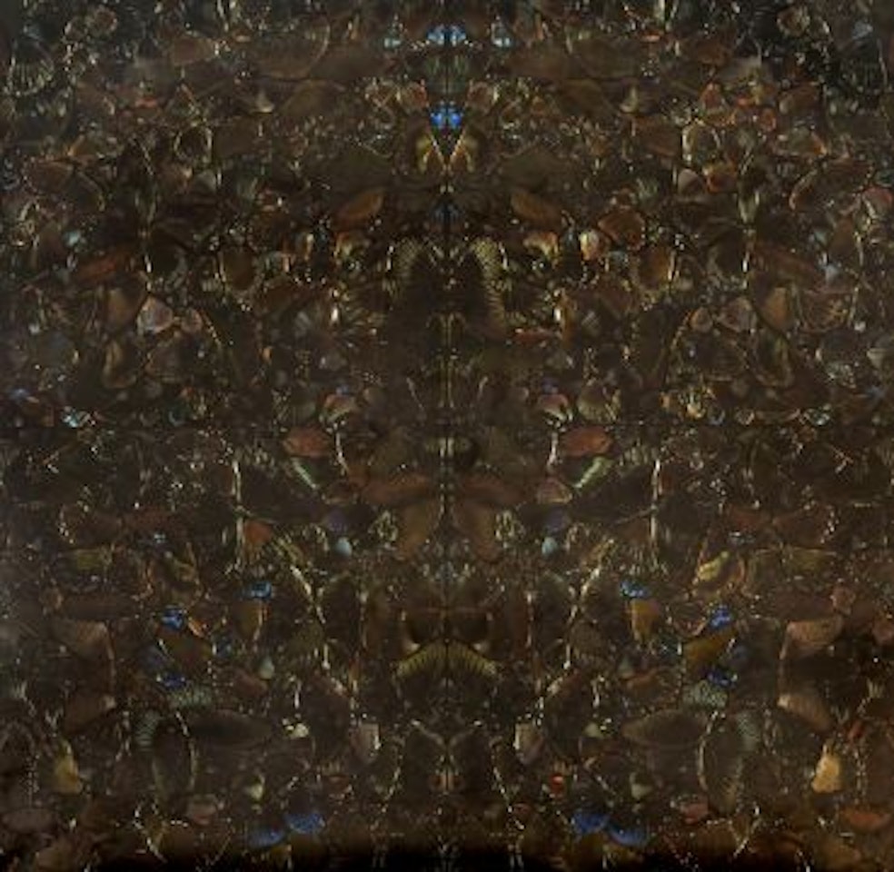 The Valley of Death by Damien Hirst