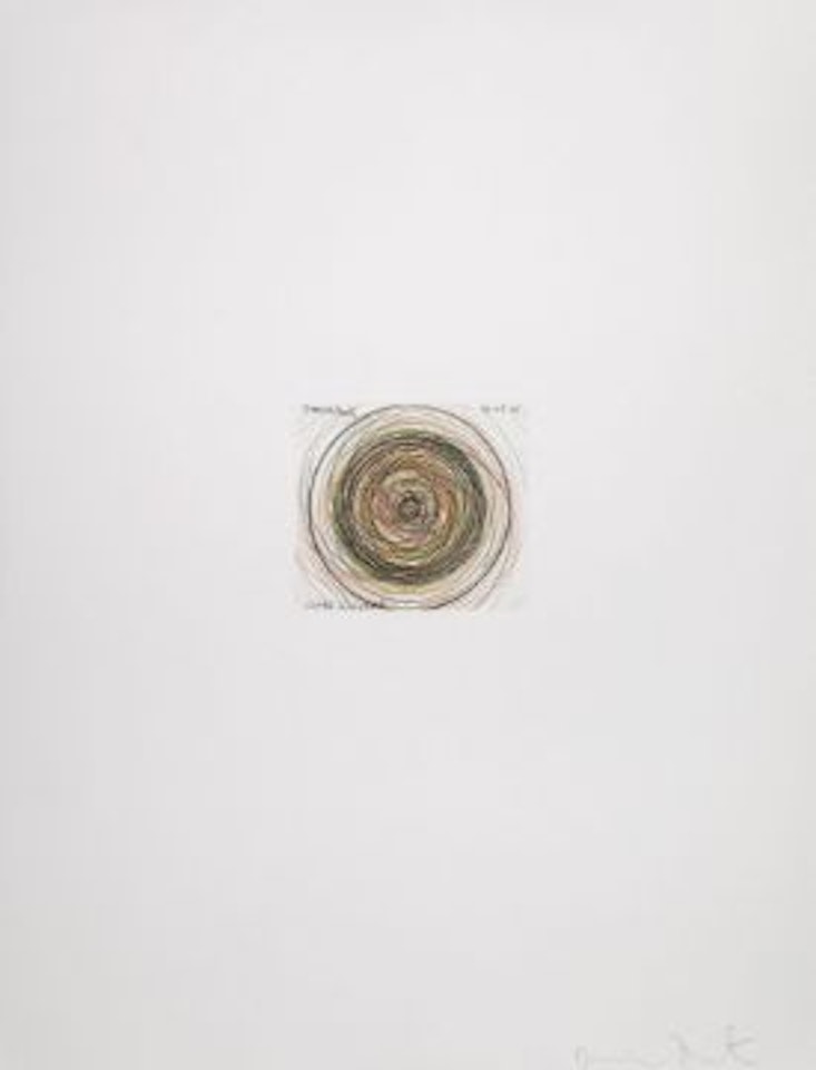 Circles in the sand by Damien Hirst