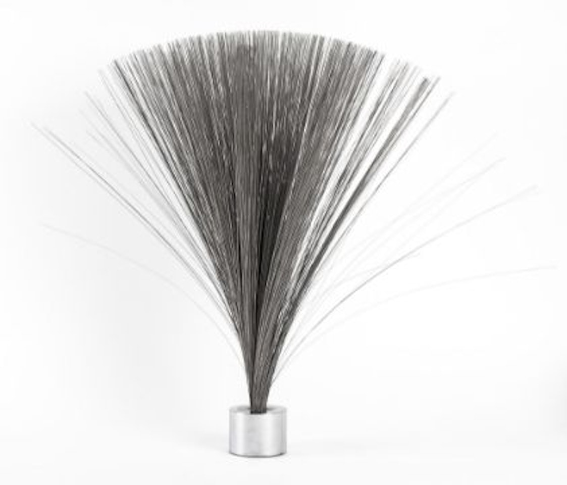 Untitled (Spray) by Harry Bertoia