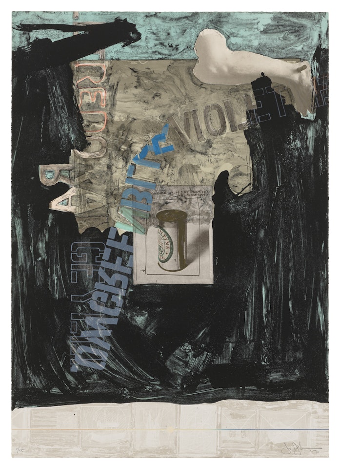 Decoy by Jasper Johns