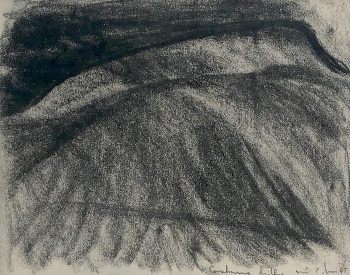 Cashmere Hills by Colin Mccahon