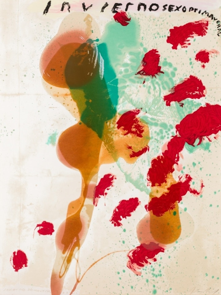 Inviernosexoprimaveral by Julian Schnabel