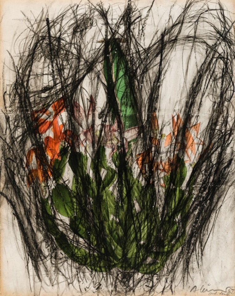 Orchids by Arnulf Rainer