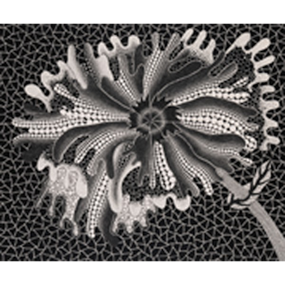 Flower XL (Kusama 180) by Yayoi Kusama