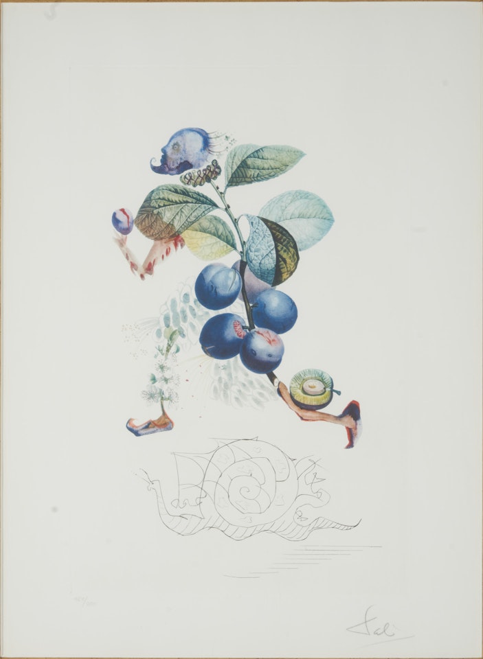Prunier Hâtif, plate 3 from Flordali (Les Fruits) (Michler & Löpsinger 346; Field 69-11C) by Salvador Dali