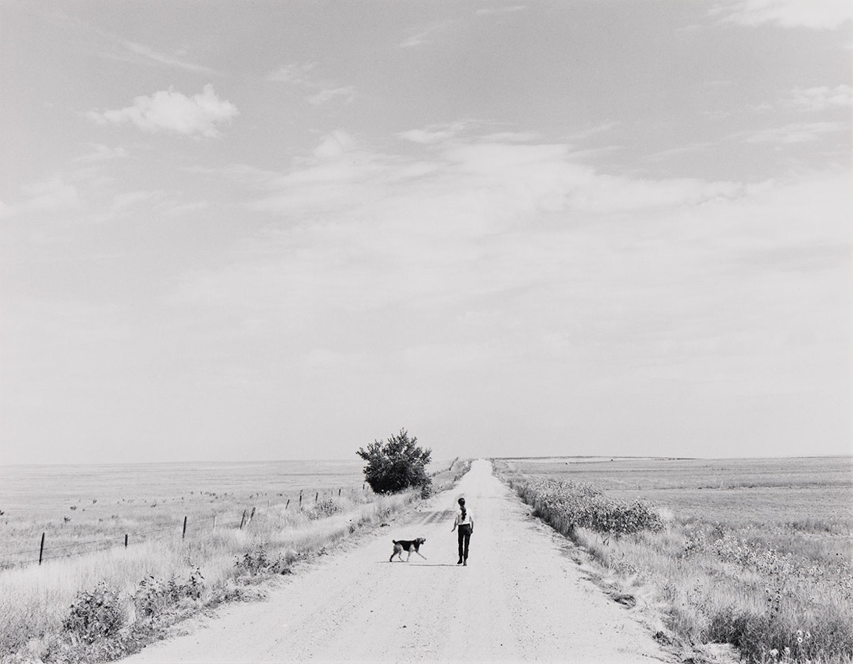 Walking, South of Grover, Colorado by Robert Adams