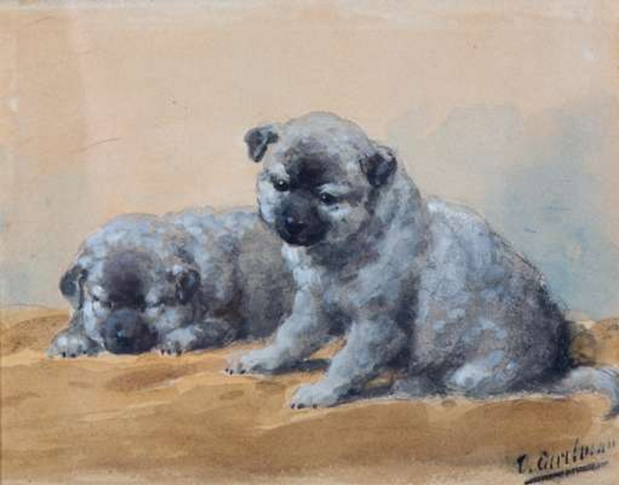 Two puppies by Otto Eerelman