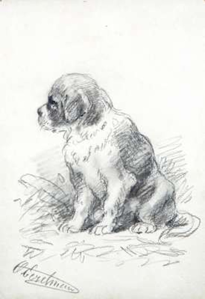 A Saint Bernard puppy by Otto Eerelman