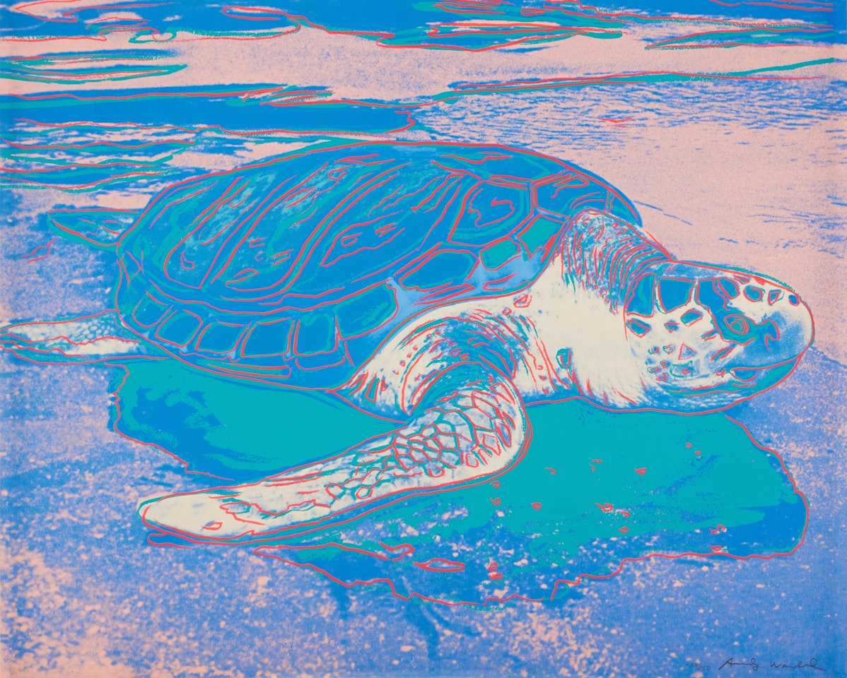 Turtle (Feldman & Schellmann II.360A) by Andy Warhol