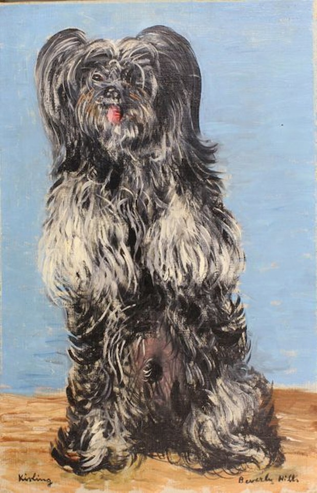 The dog Banco by Moïse Kisling