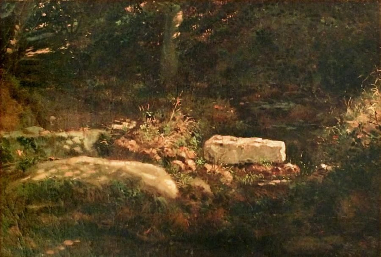 Sunny undergrowth by Alexandre Calame