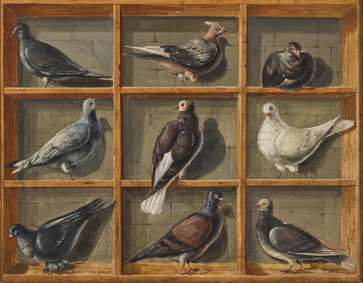 Pigeonnière (Trompe-l"œil) by French School