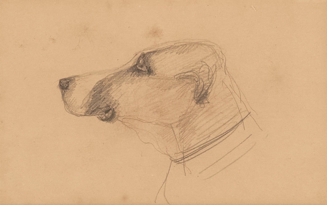 Tête de Chien by Henri de Toulouse-Lautrec