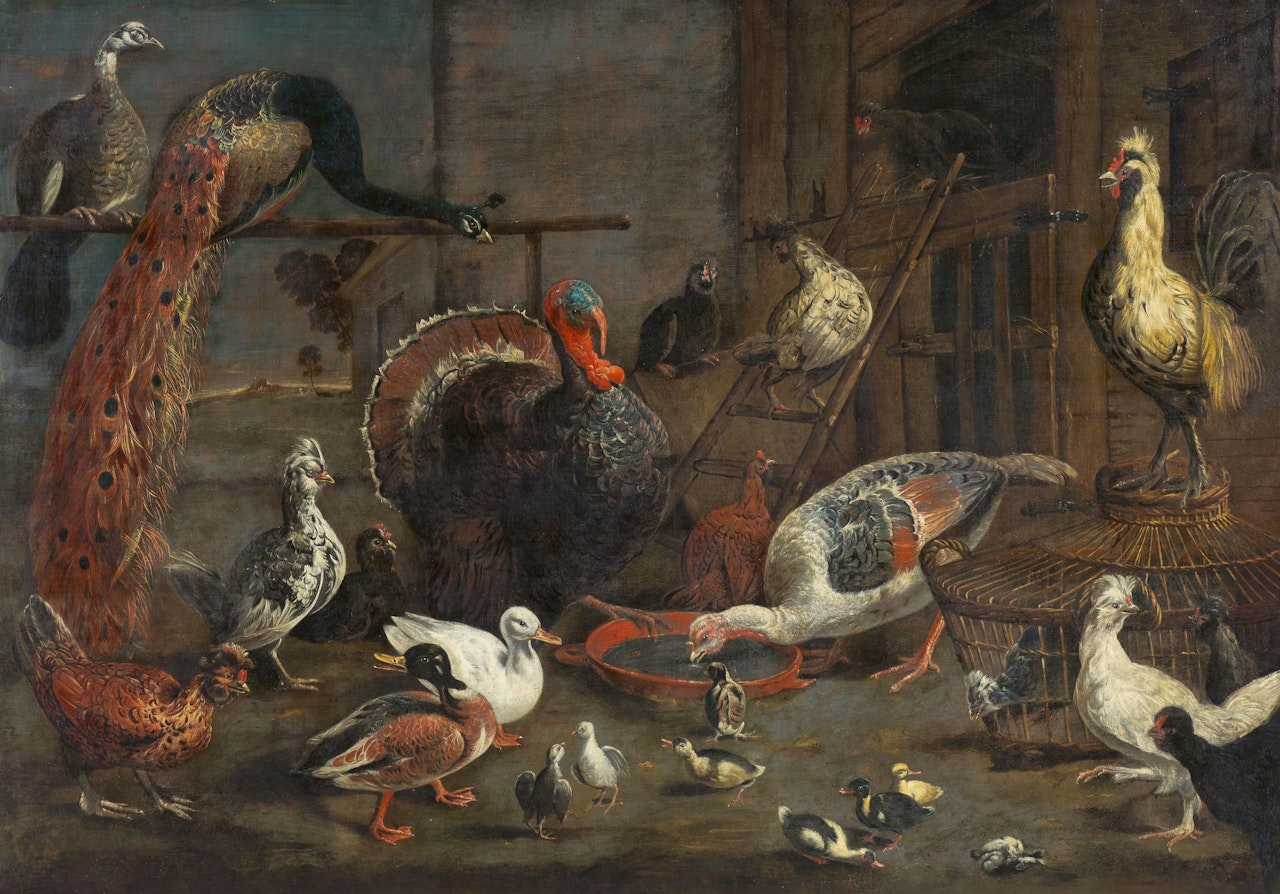 Poultry Farm with two Peacocks, Turkeys and Ducks by Adriaen van Utrecht